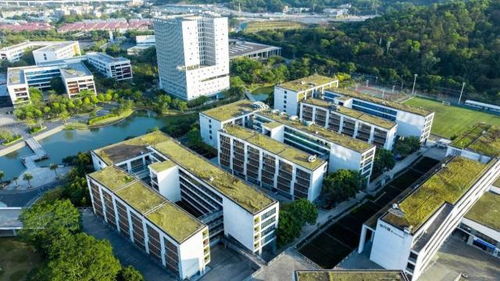 2026高考必看 深圳信息职业技术大学好不好？实力突围的技术开发新星