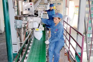 喜讯 精河盐化公司荣获国家高新技术企业称号